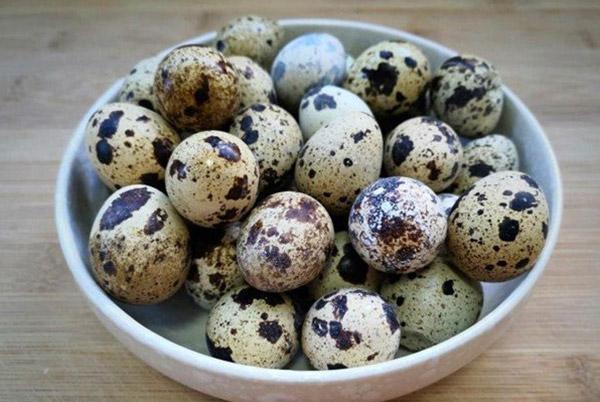 Trứng chim cút có chứa nhiều lecithin giúp cải thiện chức năng não bộ